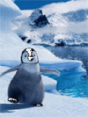 Тема для Nokia s40 nth Маленький пингвин