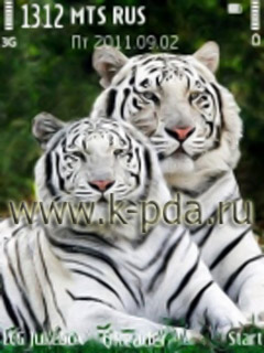 Тема для Nokia s60 nth Белые тигры